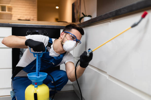 Best Wasp Removal Services  in Locust, NC