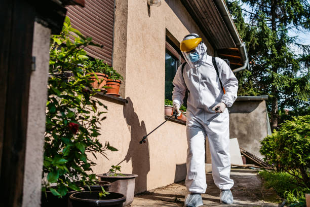 Best Local Pest Control Services  in Locust, NC