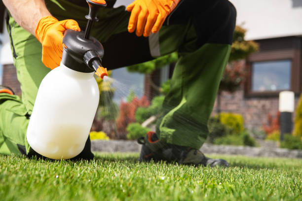 Pest Control Cost in Locust, NC