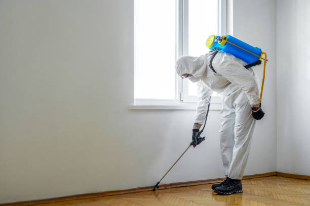 Best Best Pest Control Companies  in Locust, NC