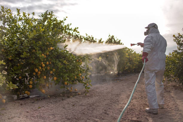 Reliable Locust, NC Pest Control Solutions
