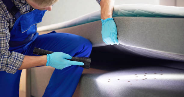 Best Rat Extermination Near Me  in Locust, NC