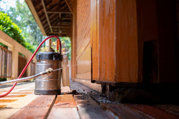 Best Commercial Pest Control Services  in Locust, NC