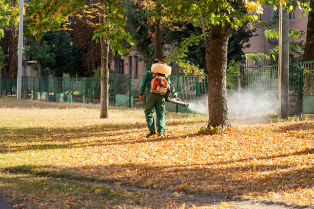 Best Exterminator Services  in Locust, NC
