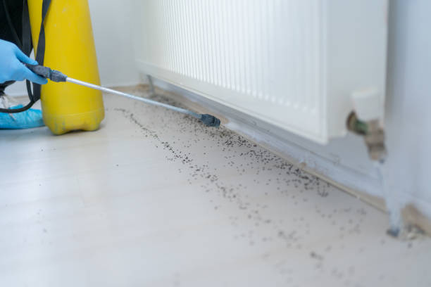 Best Pest Prevention Services  in Locust, NC