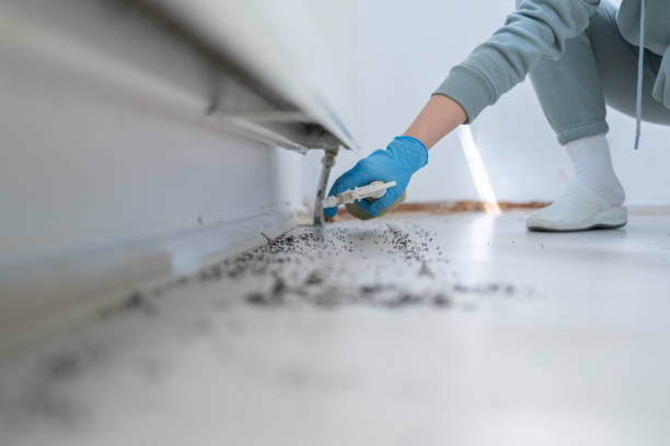 Best Best Pest Control Companies  in Locust, NC