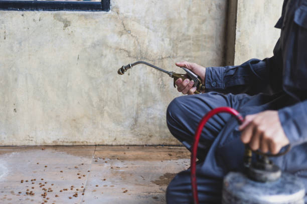 Best Pest Control Near Me  in Locust, NC